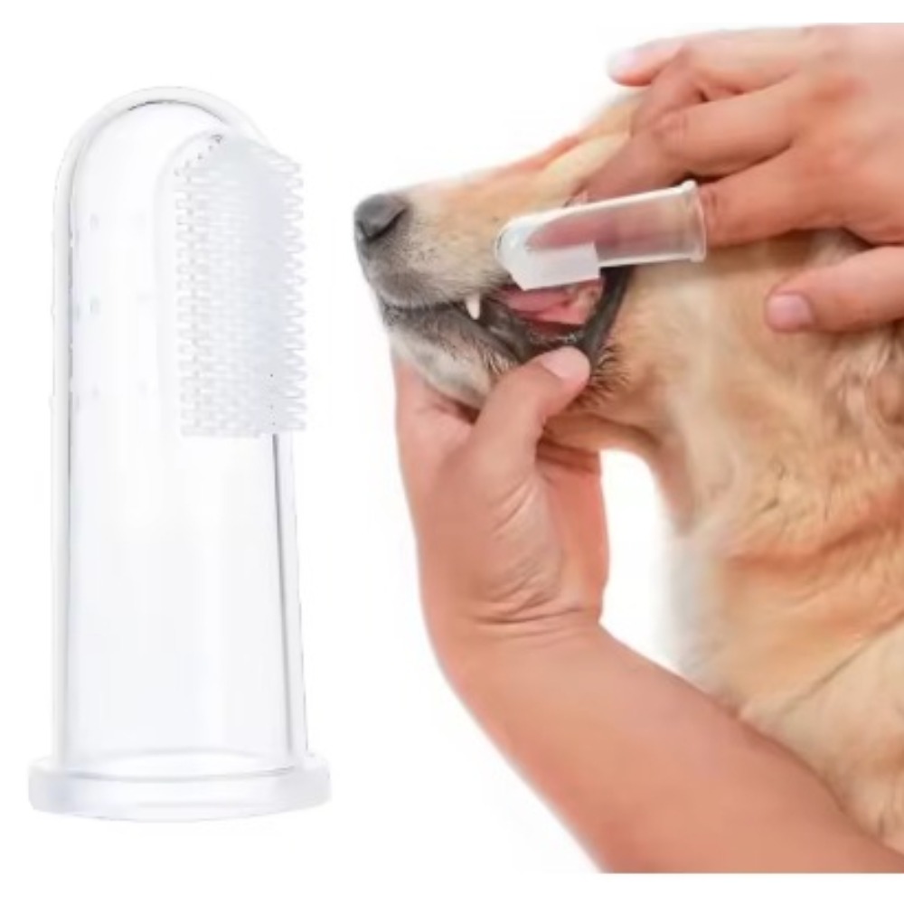 Cepillo de Dientes para Mascot - Tools & Workshop Equipment reseña y precio